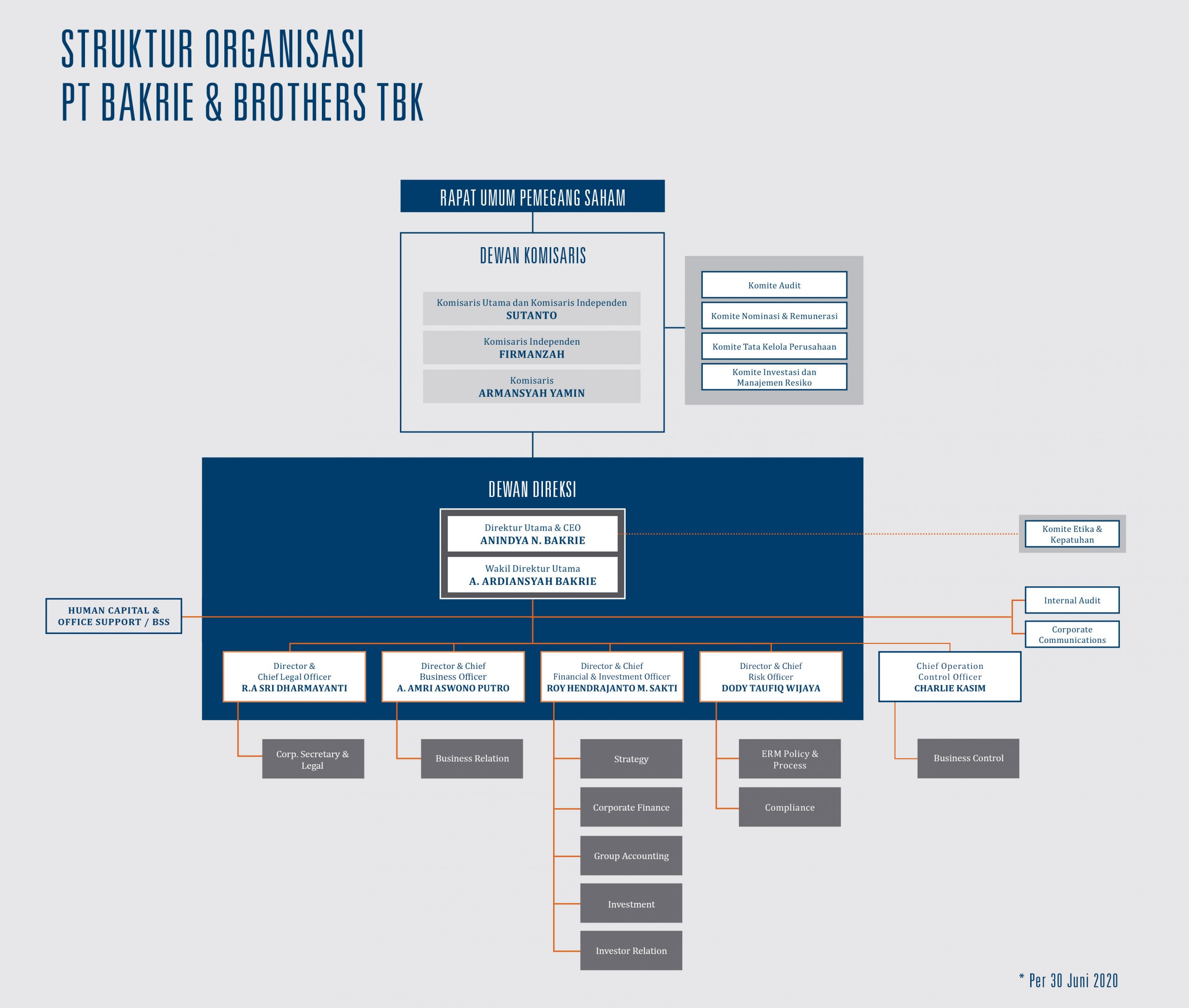 organization structure new