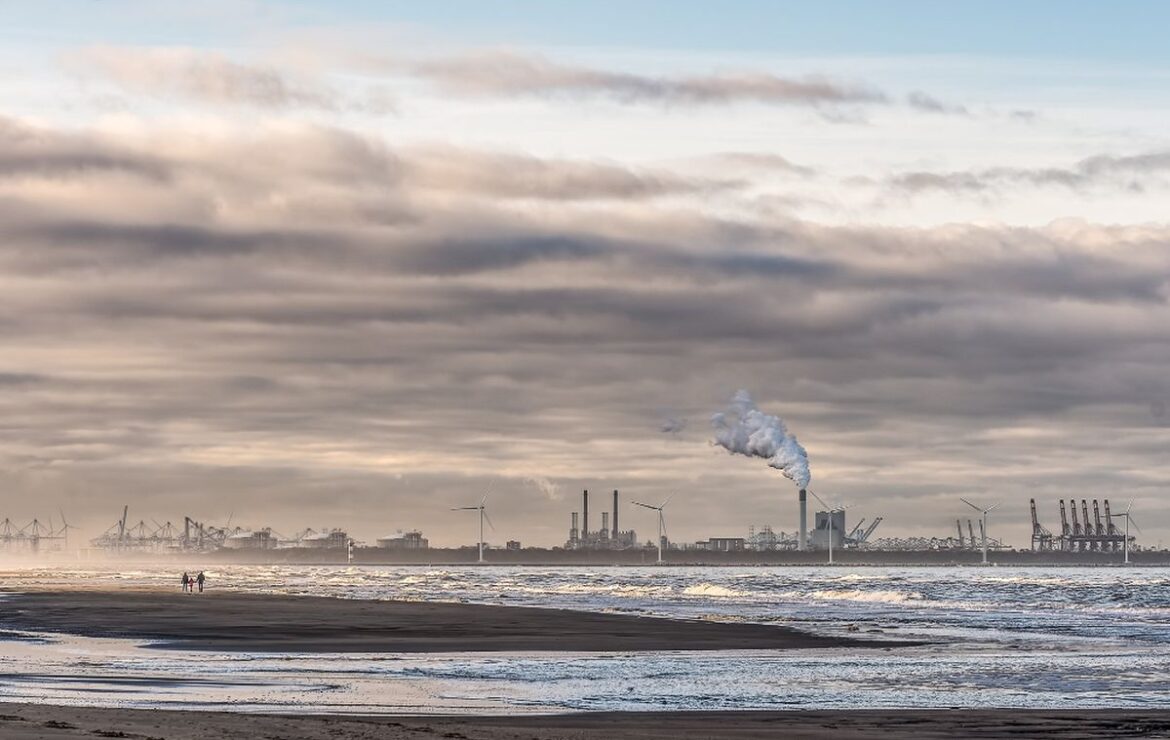 Fossil Fuel Demand Predicted to Slow by 2026, Solar and Wind Energy to Rise