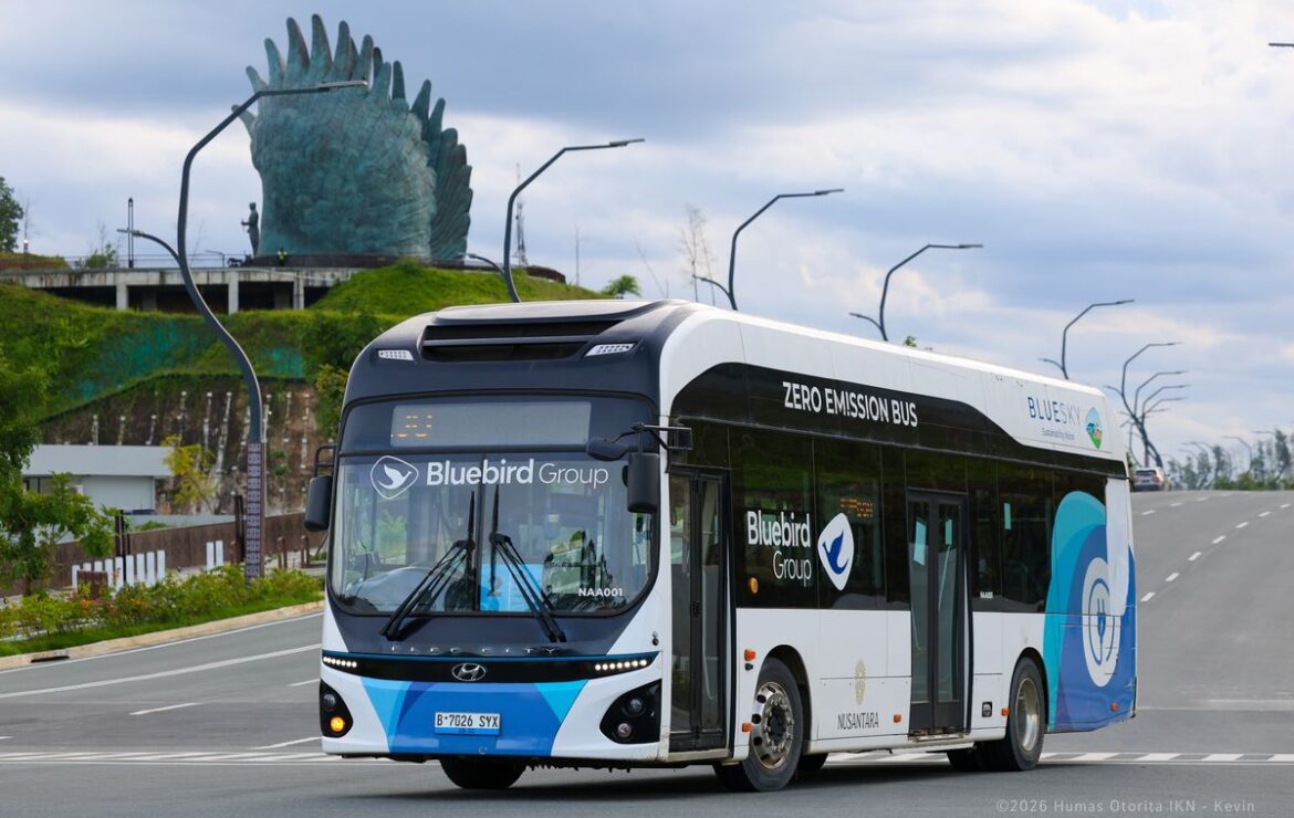 Policy Priority: Electric Vehicles or Public Transport?
