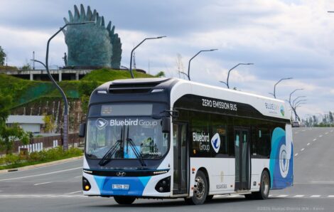Policy Priority: Electric Vehicles or Public Transport?